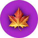 Web game icon (circle with leaf emoji)